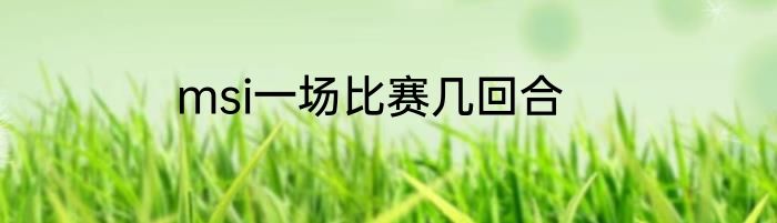 msi一场比赛几回合
