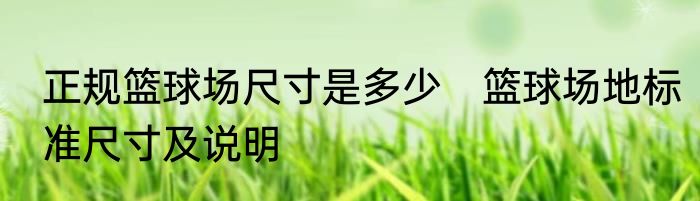正规篮球场尺寸是多少　篮球场地标准尺寸及说明