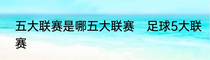 五大联赛是哪五大联赛　足球5大联赛