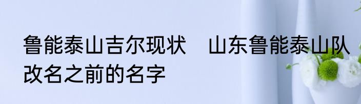 鲁能泰山吉尔现状　山东鲁能泰山队改名之前的名字