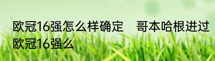 欧冠16强怎么样确定　哥本哈根进过欧冠16强么