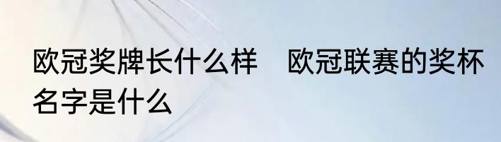欧冠奖牌长什么样　欧冠联赛的奖杯名字是什么