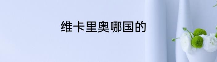 维卡里奥哪国的