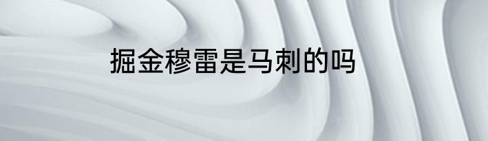 掘金穆雷是马刺的吗