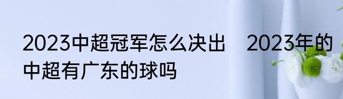2023中超冠军怎么决出　2023年的中超有广东的球吗