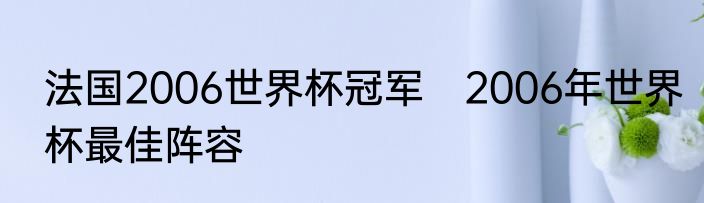 法国2006世界杯冠军　2006年世界杯最佳阵容