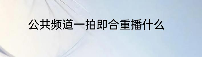 公共频道一拍即合重播什么