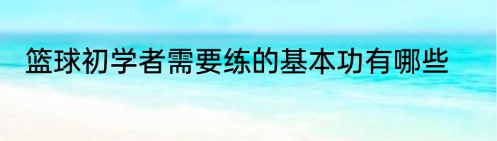 篮球初学者需要练的基本功有哪些