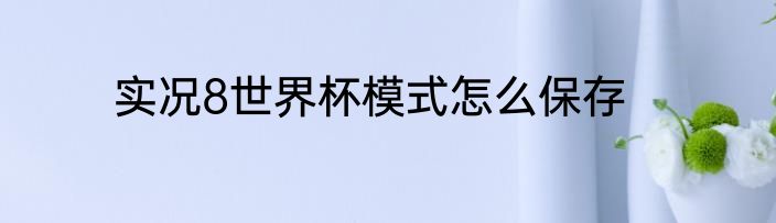 实况8世界杯模式怎么保存