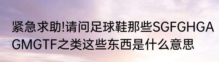 紧急求助!请问足球鞋那些SGFGHGAGMGTF之类这些东西是什么意思