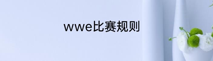 wwe比赛规则