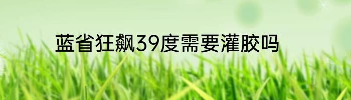 蓝省狂飙39度需要灌胶吗