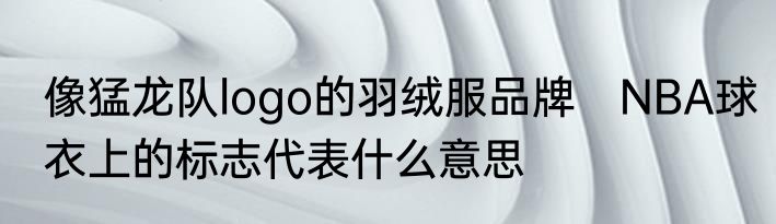 像猛龙队logo的羽绒服品牌　NBA球衣上的标志代表什么意思