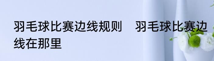 羽毛球比赛边线规则　羽毛球比赛边线在那里