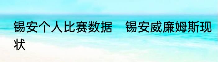 锡安个人比赛数据　锡安威廉姆斯现状