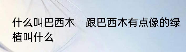 什么叫巴西木　跟巴西木有点像的绿植叫什么