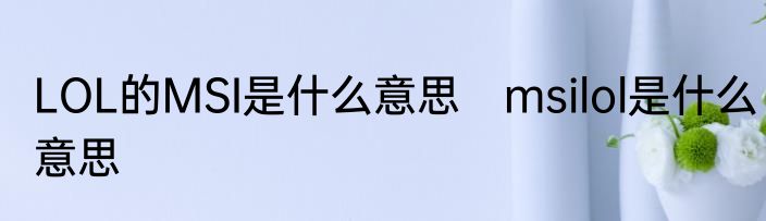 LOL的MSI是什么意思　msilol是什么意思