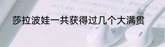 莎拉波娃一共获得过几个大满贯