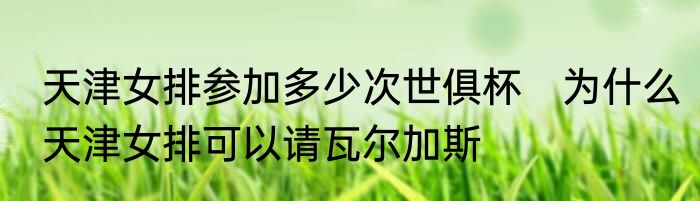 天津女排参加多少次世俱杯　为什么天津女排可以请瓦尔加斯