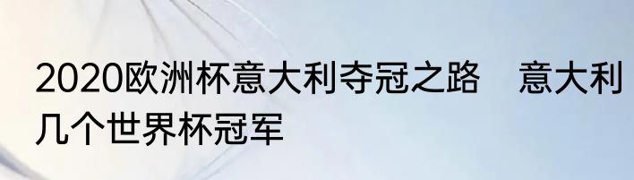 2020欧洲杯意大利夺冠之路　意大利几个世界杯冠军