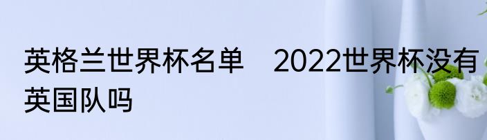 英格兰世界杯名单　2022世界杯没有英国队吗