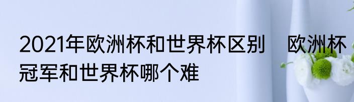 2021年欧洲杯和世界杯区别　欧洲杯冠军和世界杯哪个难