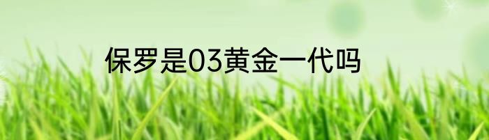 保罗是03黄金一代吗