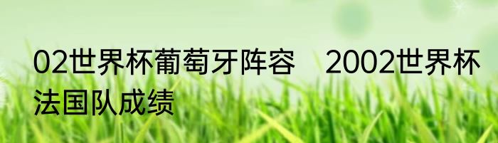 02世界杯葡萄牙阵容　2002世界杯法国队成绩