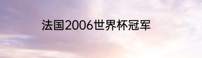 法国2006世界杯冠军