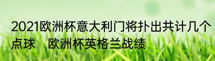 2021欧洲杯意大利门将扑出共计几个点球　欧洲杯英格兰战绩
