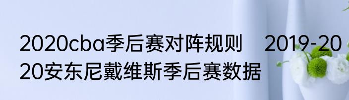 2020cba季后赛对阵规则　2019-2020安东尼戴维斯季后赛数据