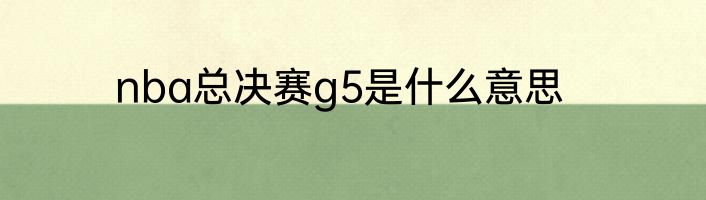 nba总决赛g5是什么意思