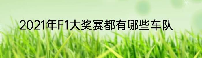2021年F1大奖赛都有哪些车队