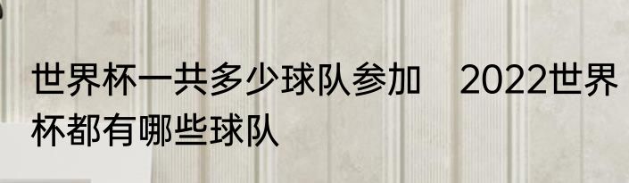 世界杯一共多少球队参加　2022世界杯都有哪些球队