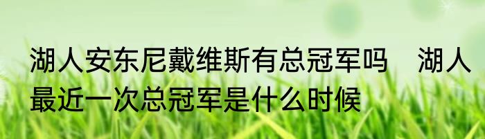 湖人安东尼戴维斯有总冠军吗　湖人最近一次总冠军是什么时候