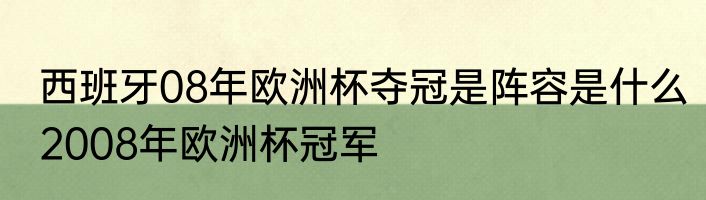 西班牙08年欧洲杯夺冠是阵容是什么　2008年欧洲杯冠军