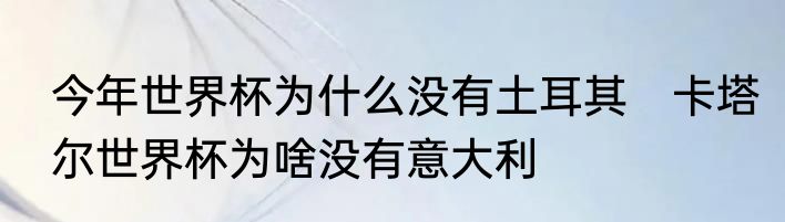 今年世界杯为什么没有土耳其　卡塔尔世界杯为啥没有意大利