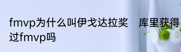 fmvp为什么叫伊戈达拉奖　库里获得过fmvp吗