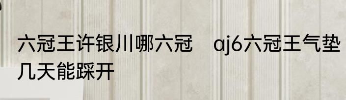 六冠王许银川哪六冠　aj6六冠王气垫几天能踩开