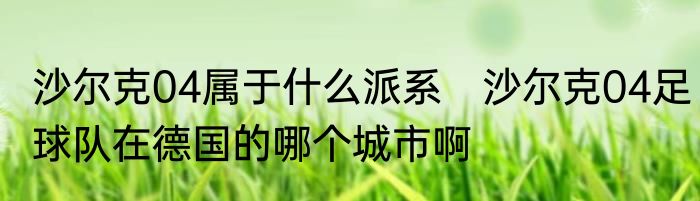沙尔克04属于什么派系　沙尔克04足球队在德国的哪个城市啊
