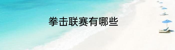 拳击联赛有哪些