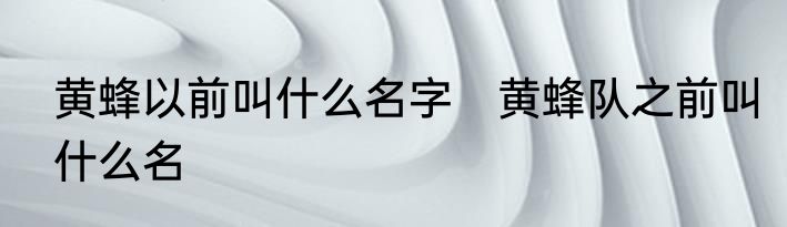 黄蜂以前叫什么名字　黄蜂队之前叫什么名