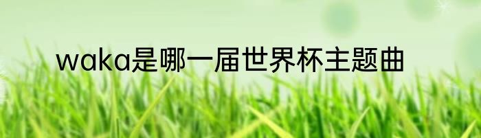 waka是哪一届世界杯主题曲