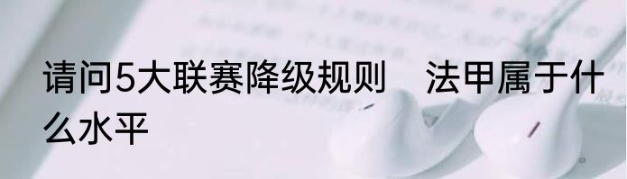 请问5大联赛降级规则 法甲属于什么水平