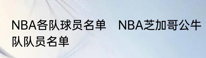 NBA各队球员名单　NBA芝加哥公牛队队员名单
