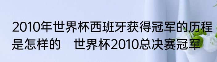 2010年世界杯西班牙获得冠军的历程是怎样的　世界杯2010总决赛冠军