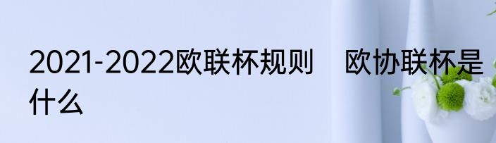 2021-2022欧联杯规则　欧协联杯是什么