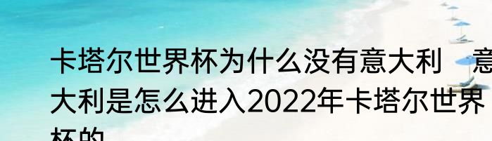卡塔尔世界杯为什么没有意大利　意大利是怎么进入2022年卡塔尔世界杯的