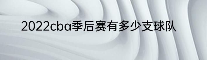 2022cba季后赛有多少支球队