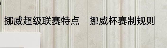 挪威超级联赛特点　挪威杯赛制规则